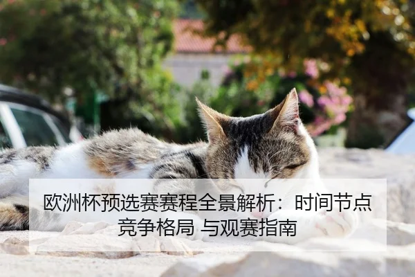 欧洲杯预选赛赛程全景解析：时间节点 竞争格局 与观赛指南
