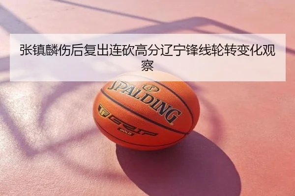 张镇麟伤后复出连砍高分辽宁锋线轮转变化观察
